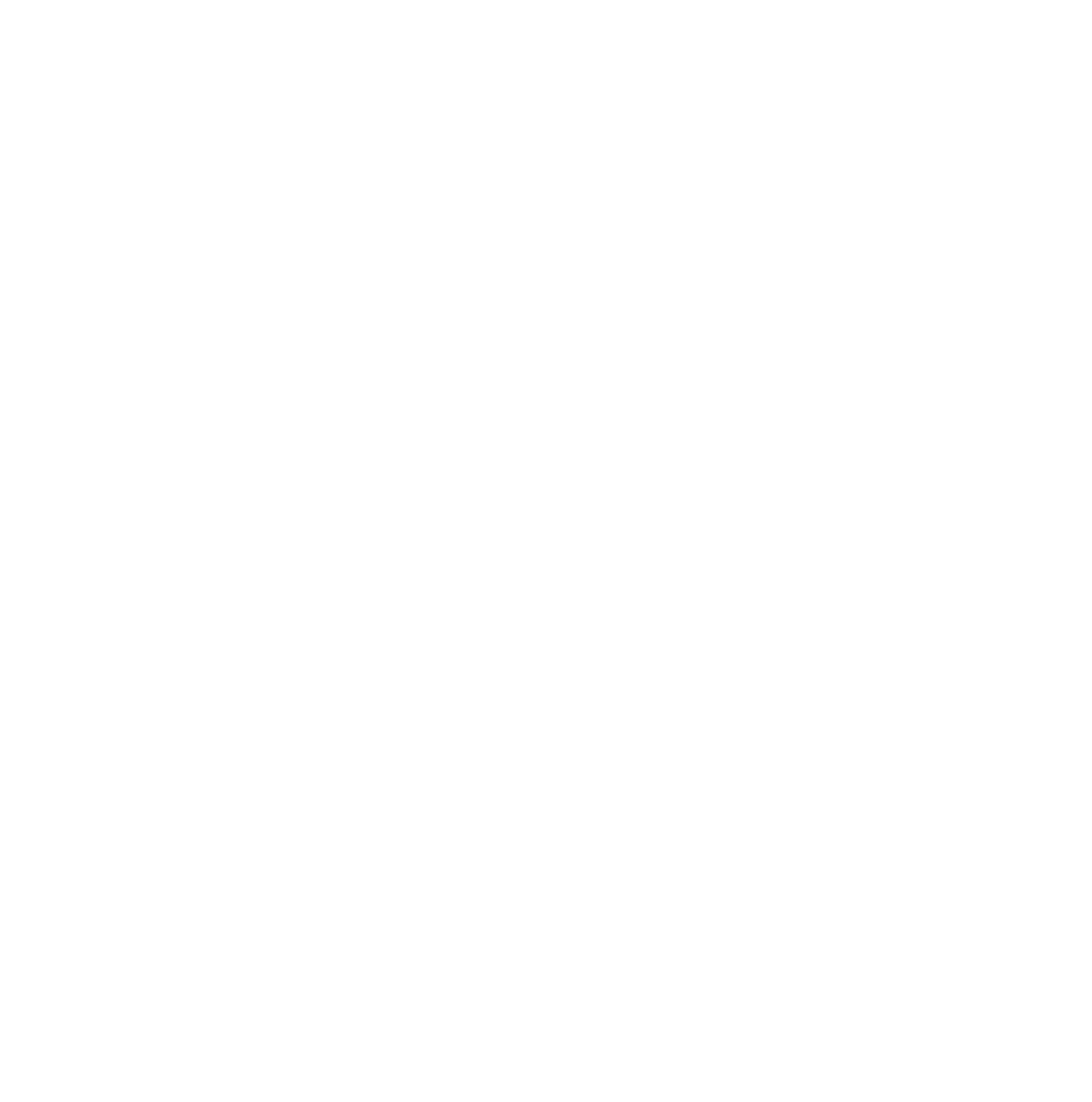 SoMa Consulting logo